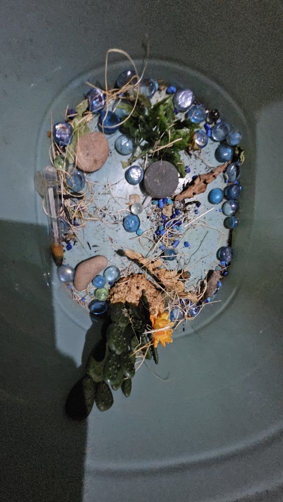 Main image 31