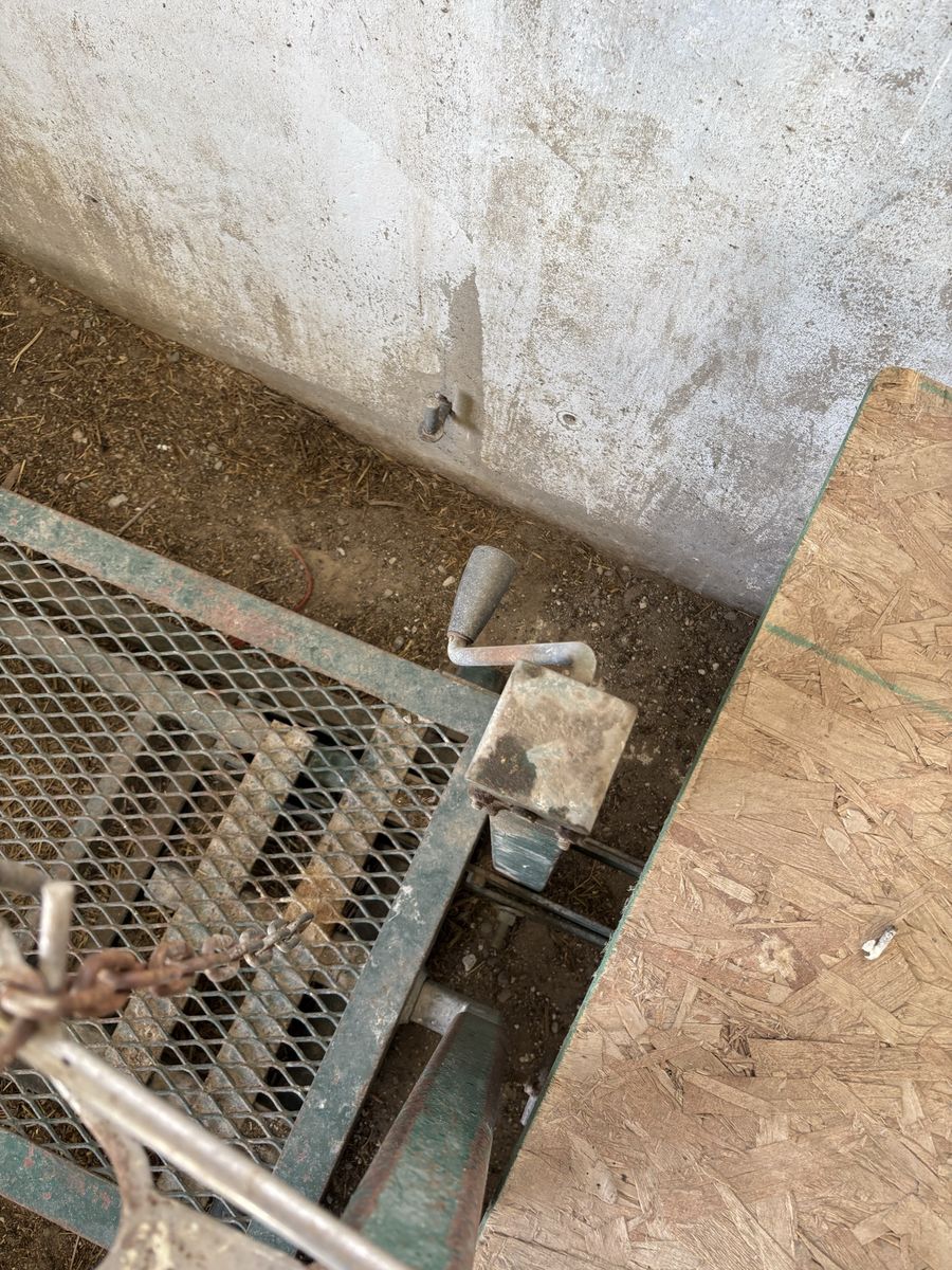Sheep stand with a jack