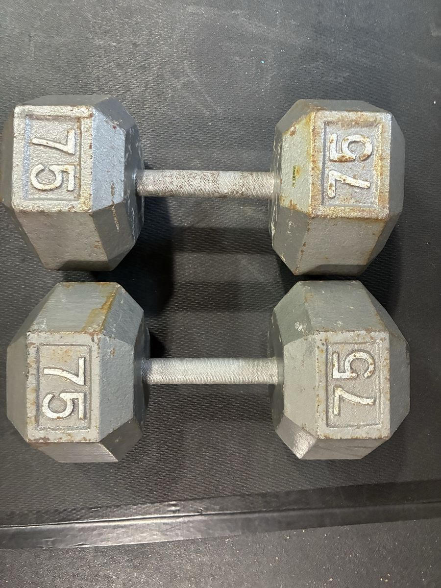 75 lbs pair dumbbells
