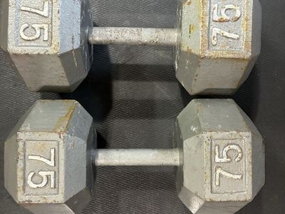 75 lbs pair dumbbells