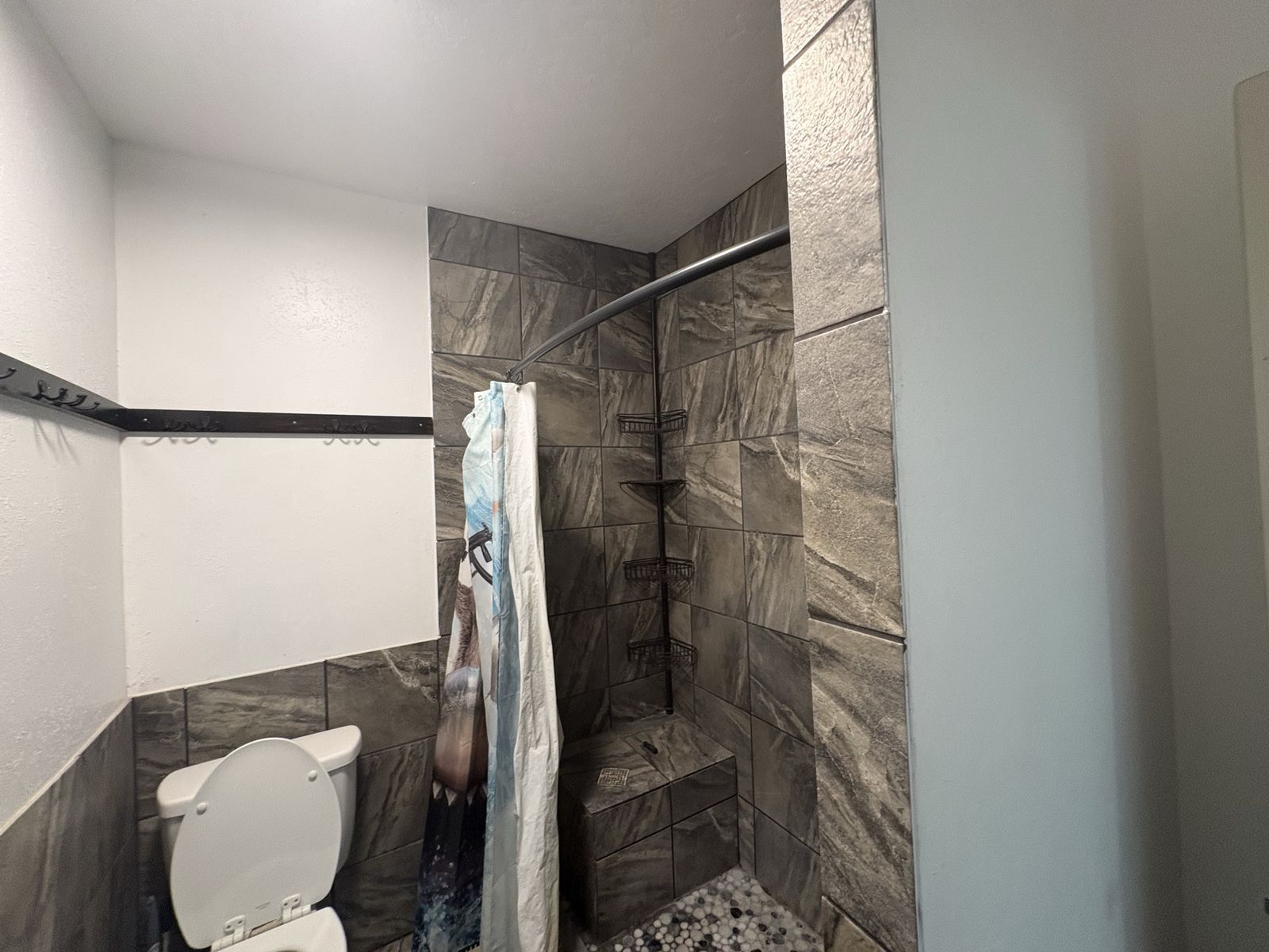 Main image 12