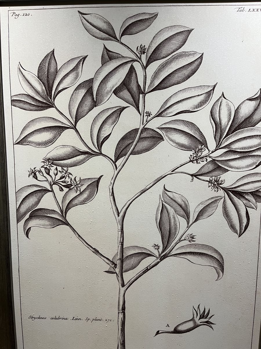 Main image 6