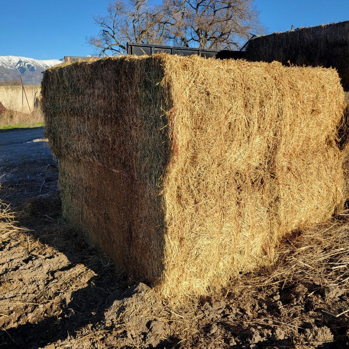 3x4 hay