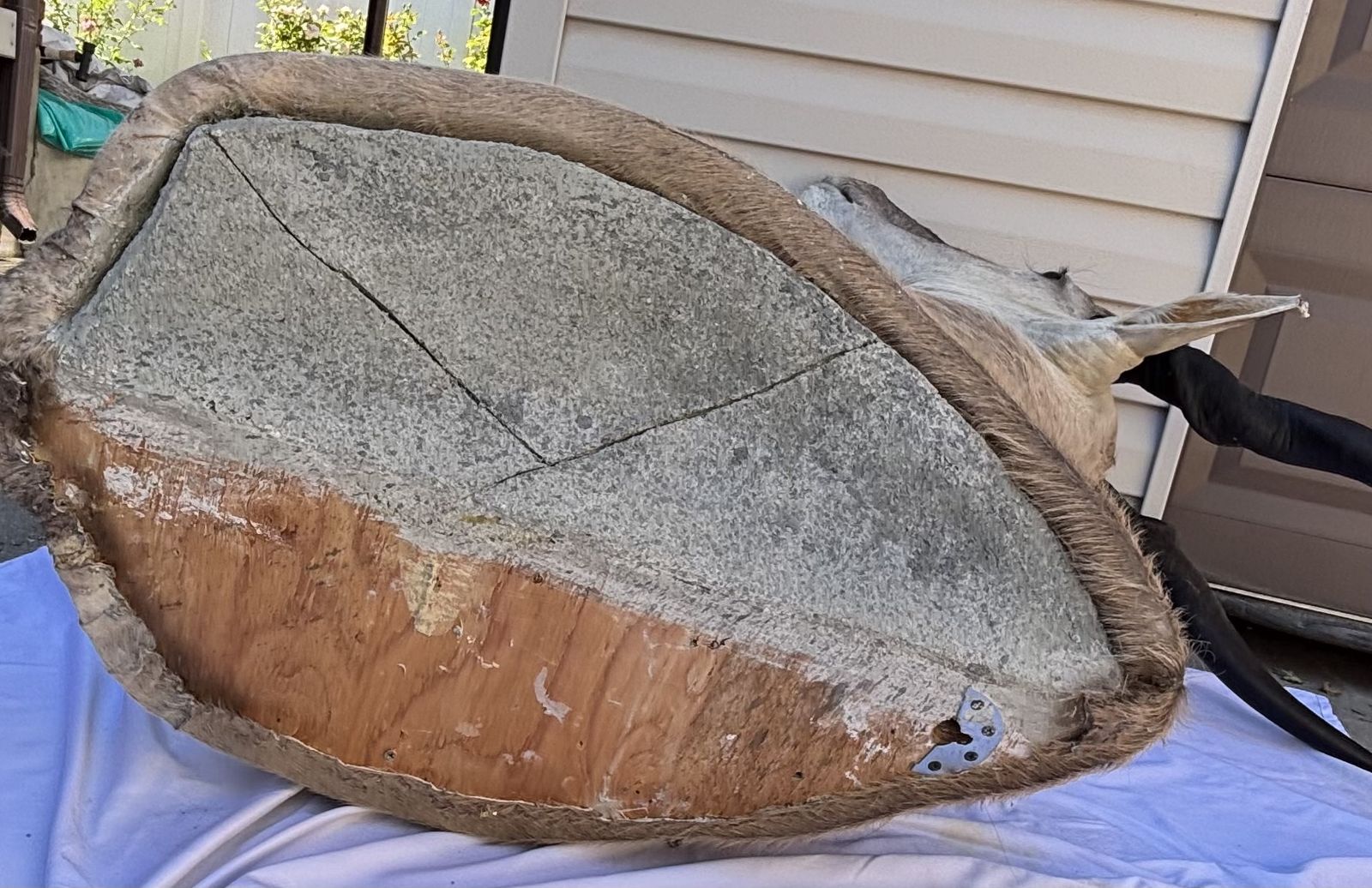 Main image 6