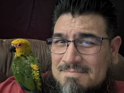 Sun Conure looking for love