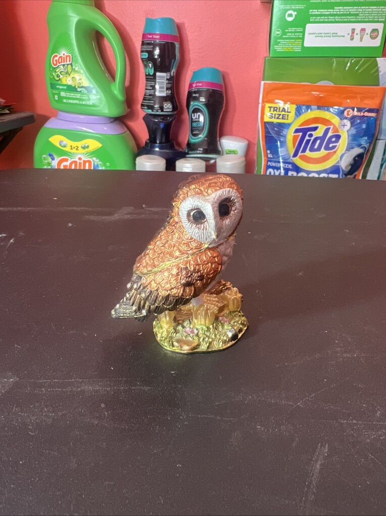 Owl with White Face Trinket Box Hinged