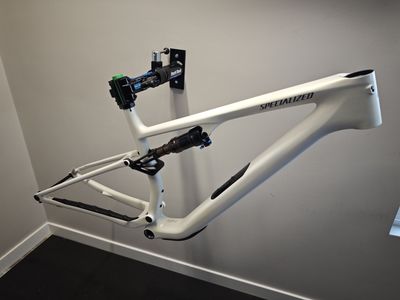Specialized Epic 8 EVO frameset, size LG