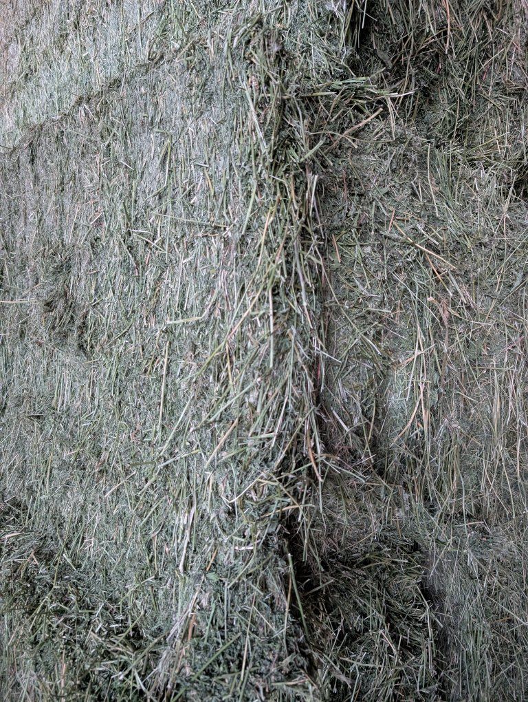 3x3 Alfalfa Bales | 2nd Crop