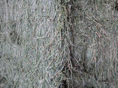 3x3 Alfalfa Bales | 2nd Crop