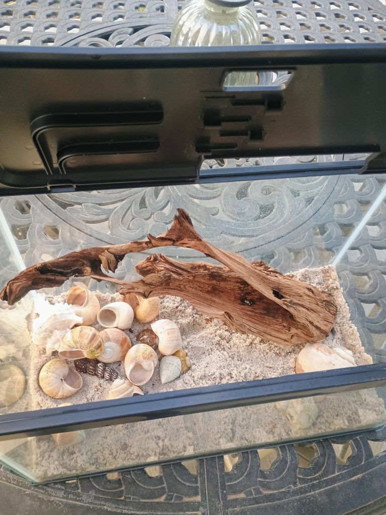 5 gallons fish tank