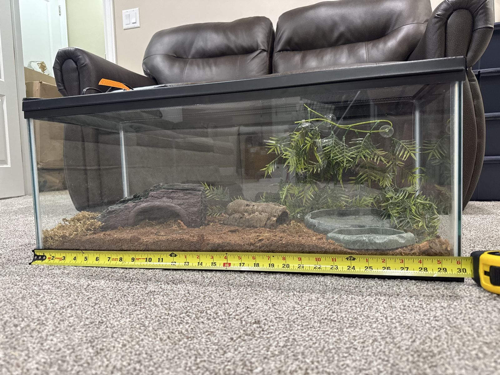 20 Gallon Long Reptile Habitat furnished complete