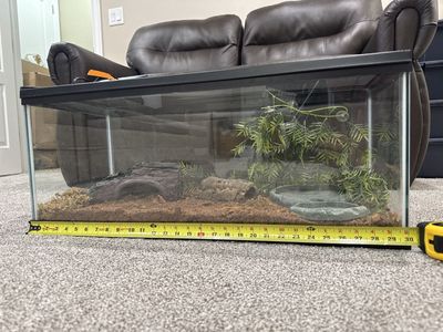 20 Gallon Long Reptile Habitat furnished complete