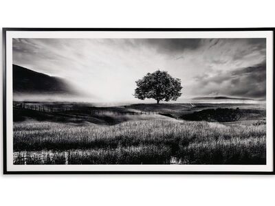 Deborland Wall Art - Living Room Furniture Accent Piece - Action Home Furniture