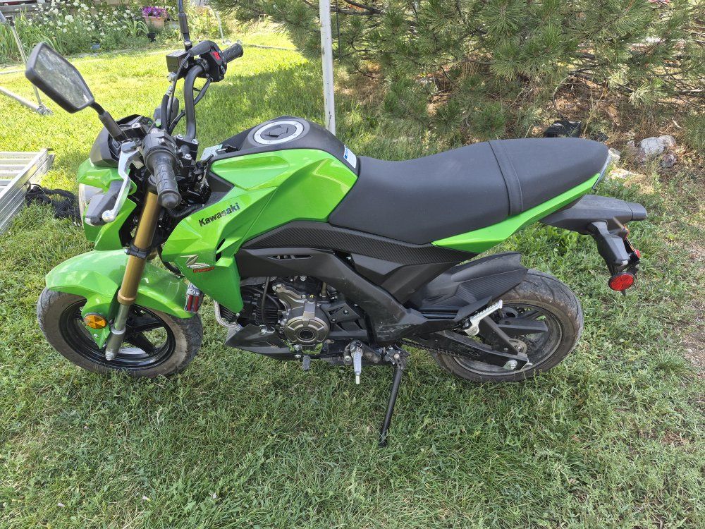 2017 kawasaki z125 pro