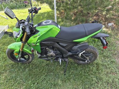 2017 kawasaki z125 pro