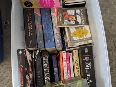 Large tote containing a mix of modern fiction, etc.