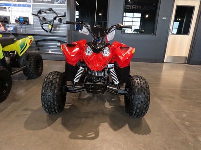 2026 Polaris® Outlaw 110 EFI