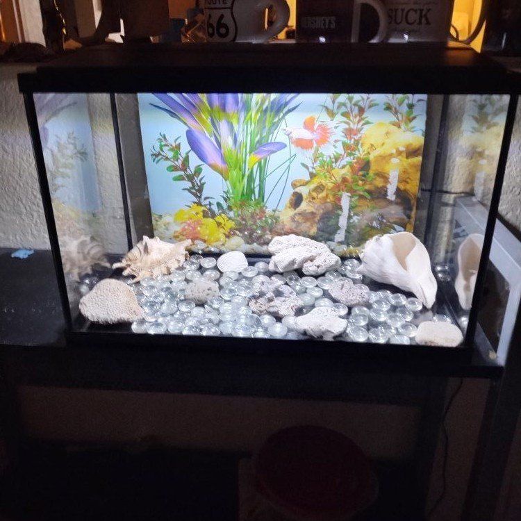 new 5 gallon starter kit Plus