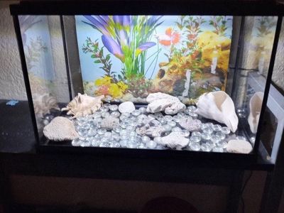 new 5 gallon starter kit Plus