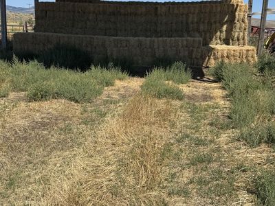 Small Bales for sale