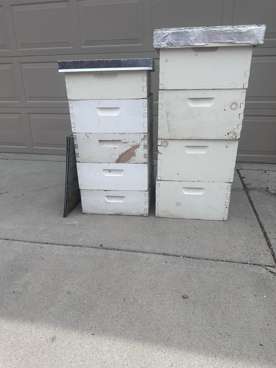 Beekeeping Hive boxes