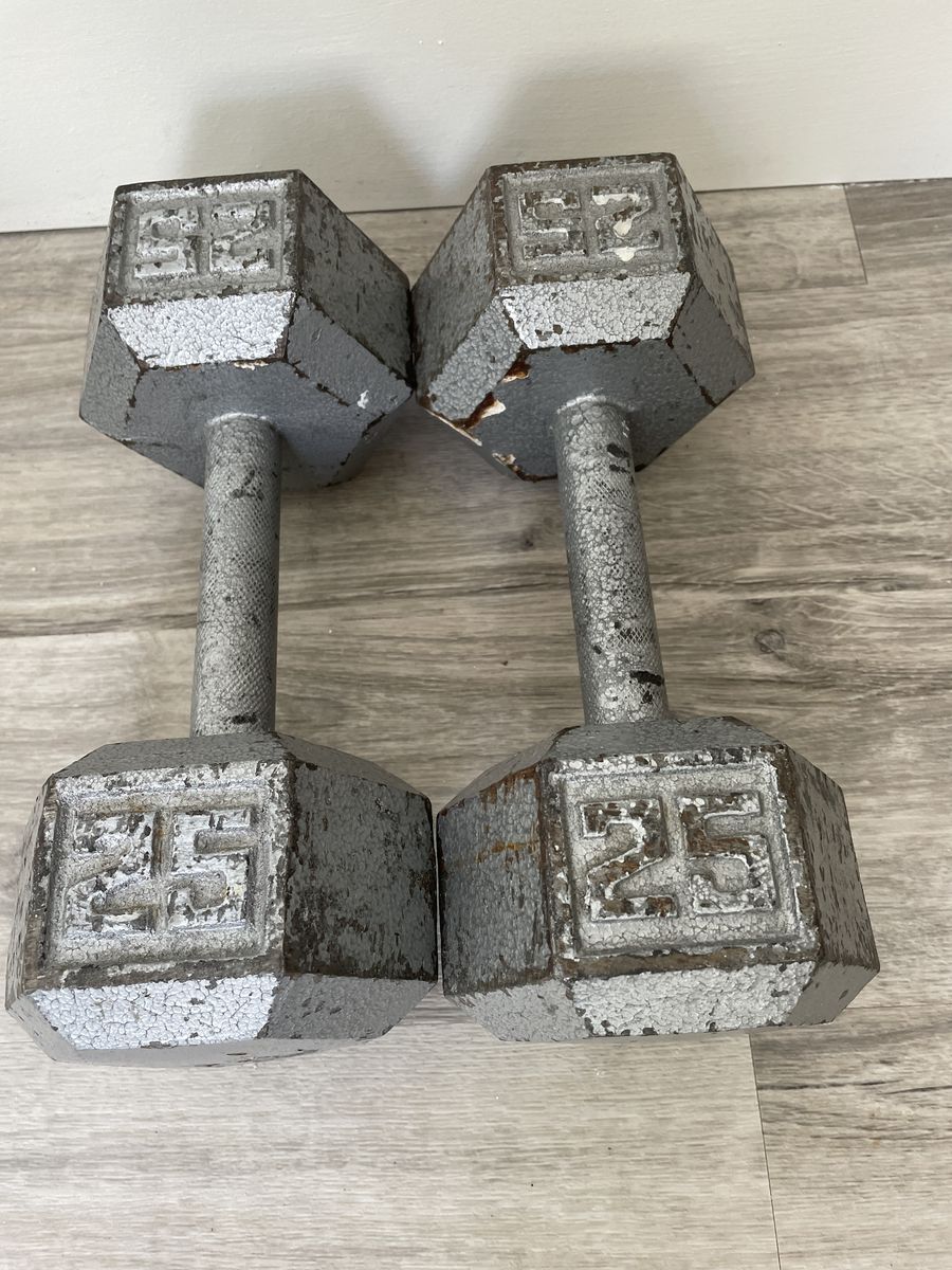 25 lb dumbbell set
