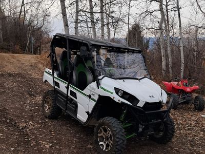 2016 Kawasaki Teryx 4 KRT800 - Very Low Miles