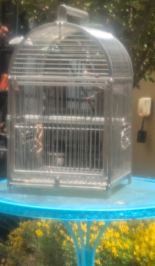 Bird Cages