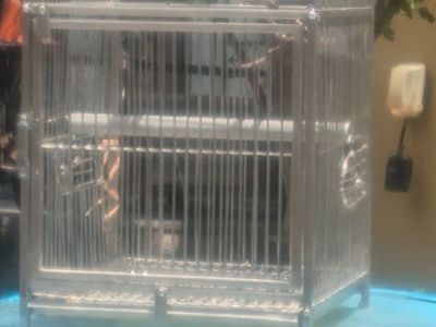 Bird Cages