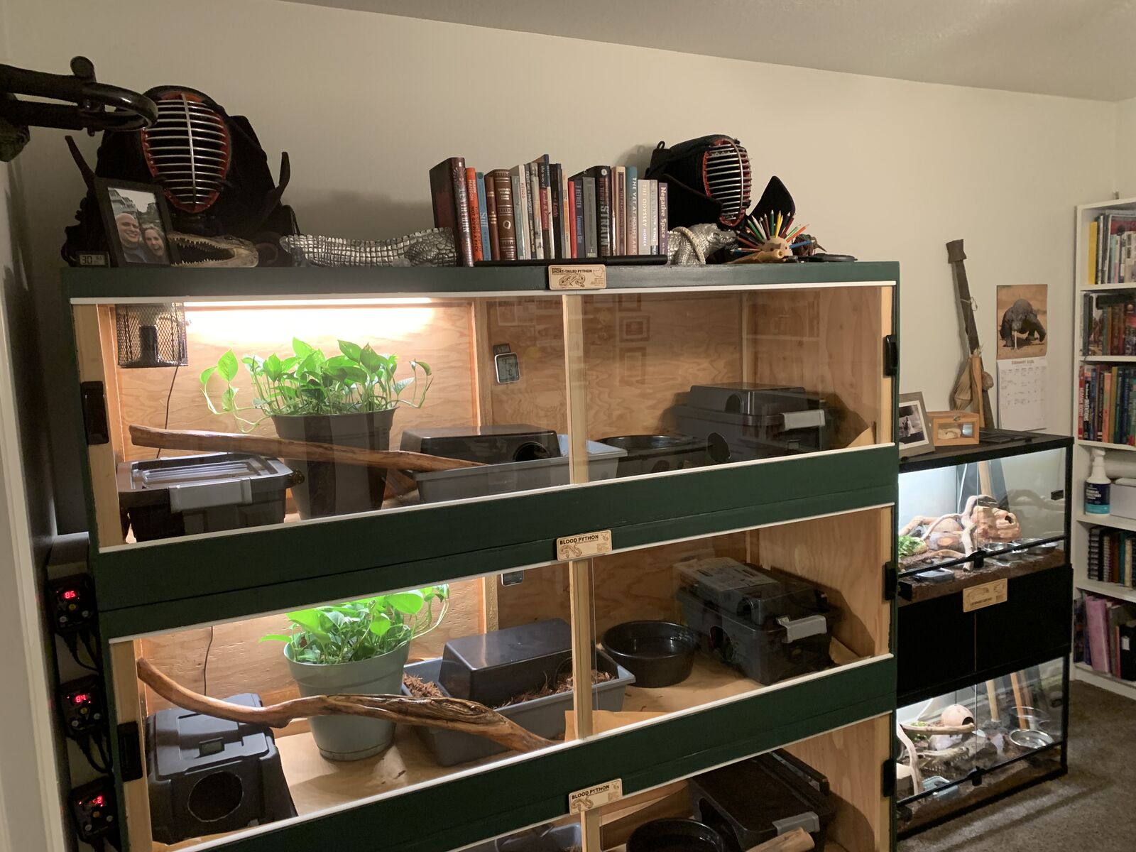 Massive 6x2x2 enclosures