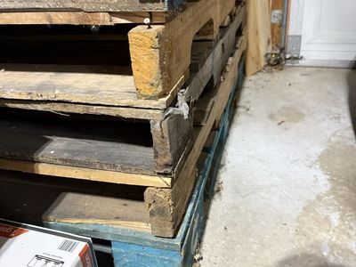 Pallets for sale