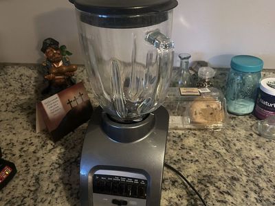 Oster Smash Blender