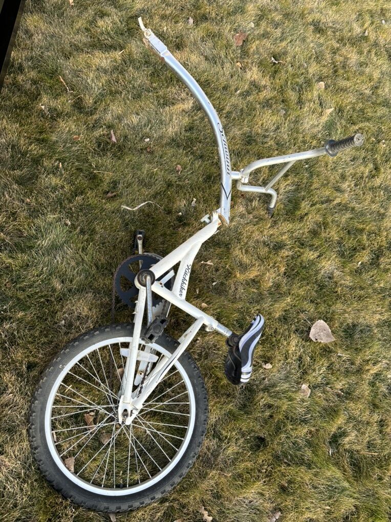 Schwinn Tag Along Bike