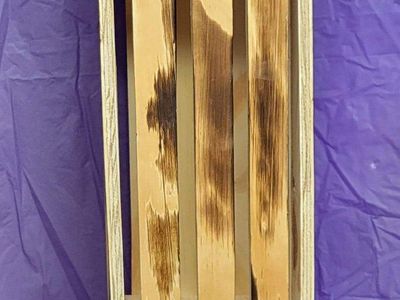 Handmade Burnt Wood Hanging Pendant Light