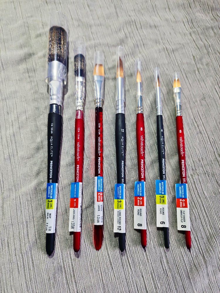 PRINCETON PAINT BRUSHES ART PAINTBRUSHES NEW