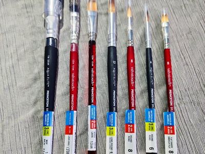 PRINCETON PAINT BRUSHES ART PAINTBRUSHES NEW