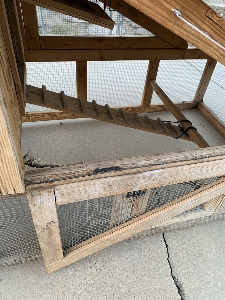 Main image 14