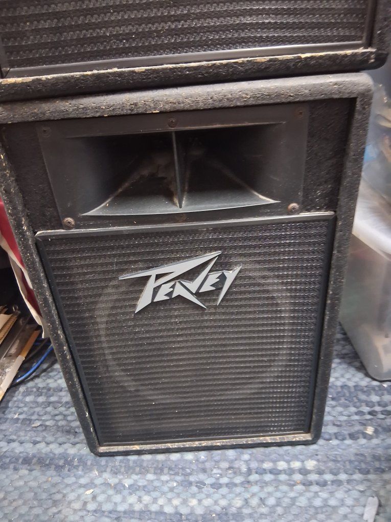 Pair of Peavey 112H Theater Speakers!