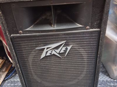 Pair of Peavey 112H Theater Speakers!