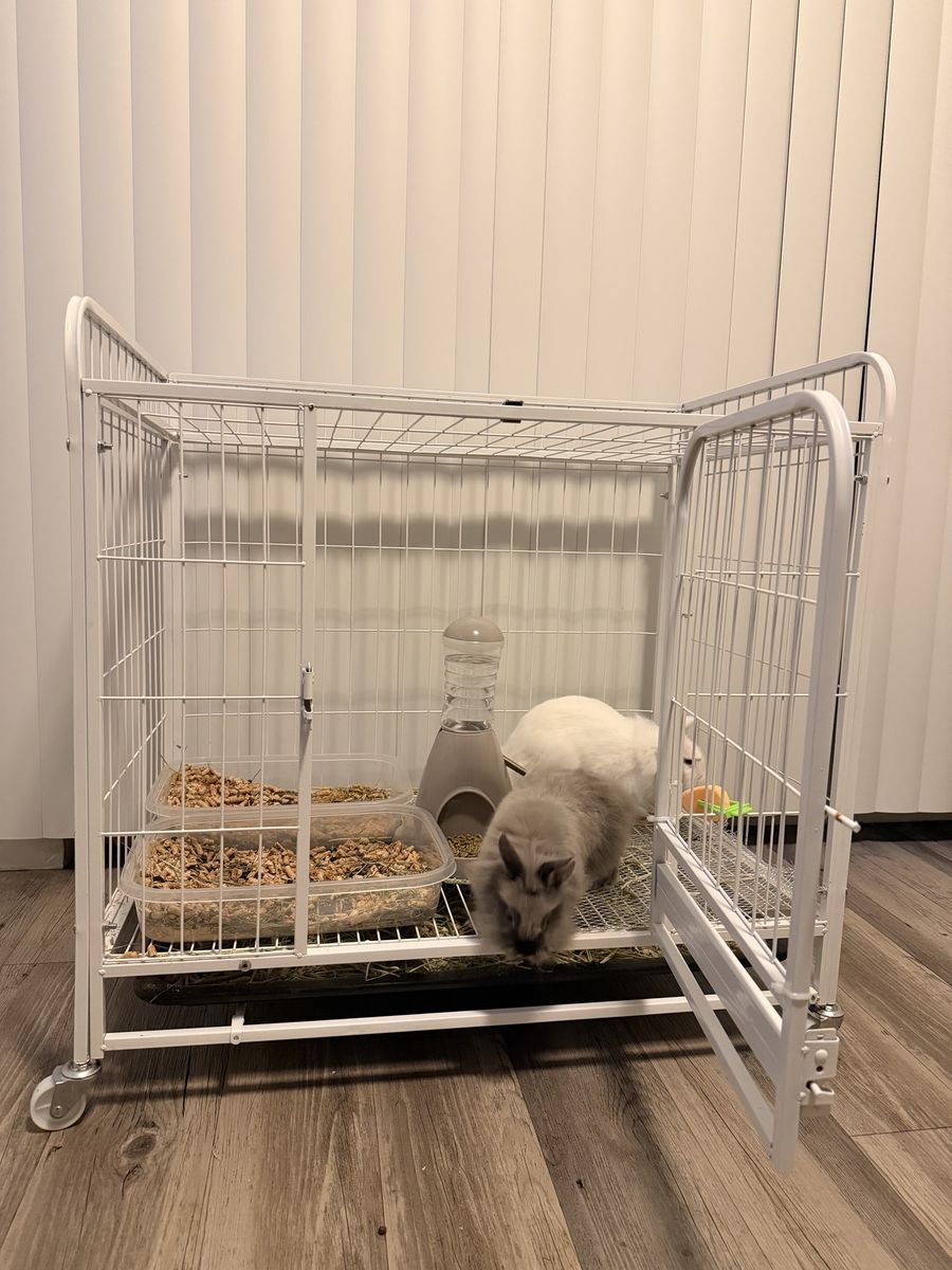 Rabbit supplies