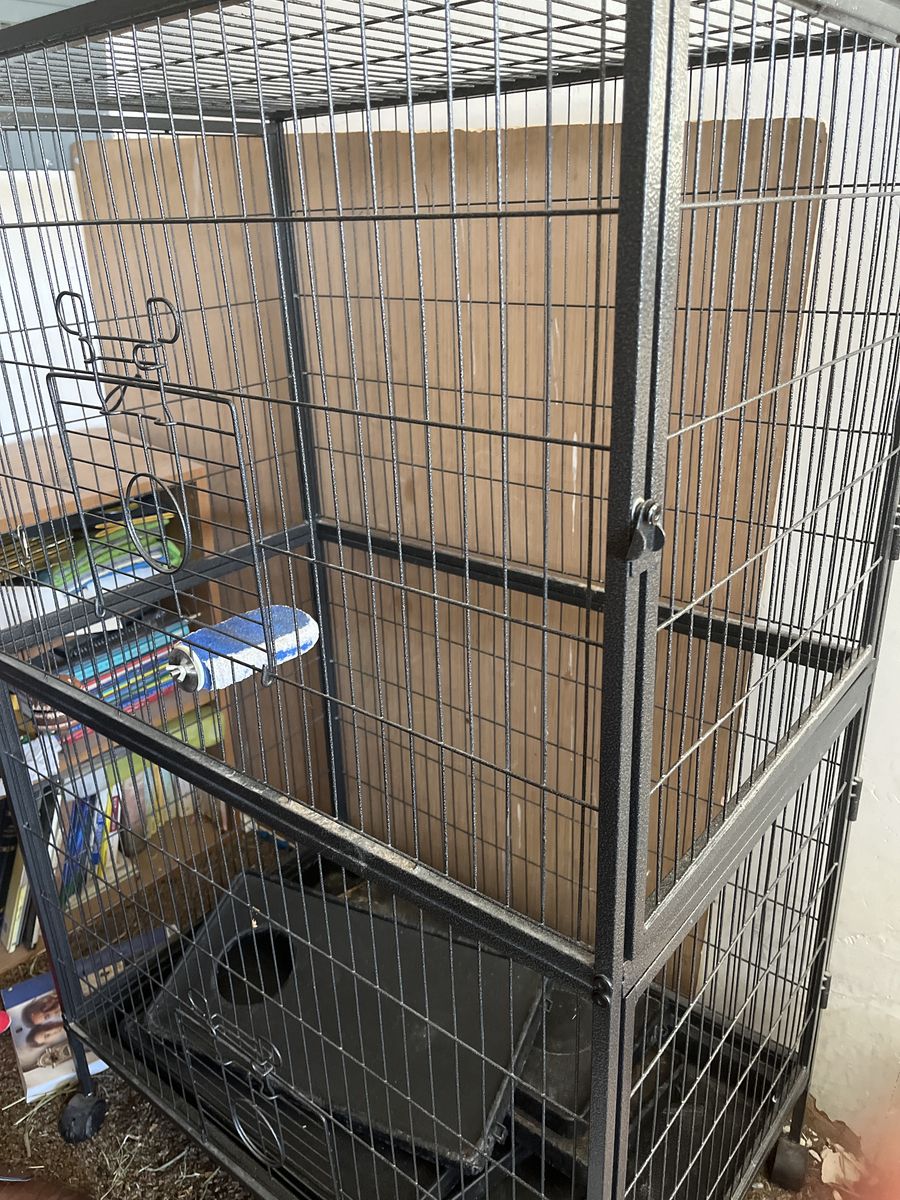 Chinchilla/bird mansion