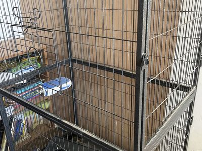 Chinchilla/bird mansion