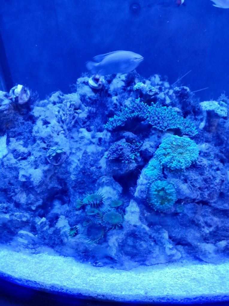 Main image 4