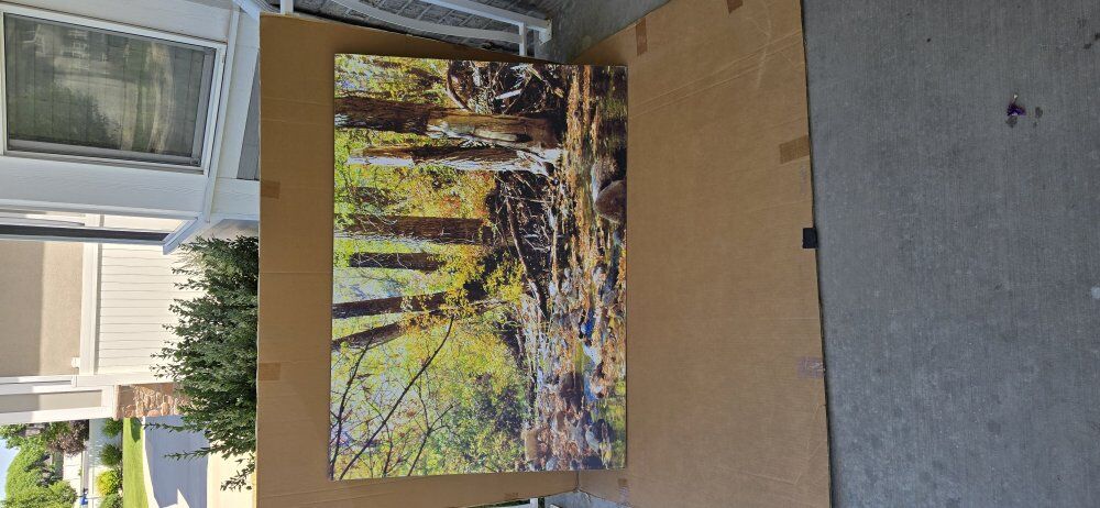 49"x35" fall back drop or picture