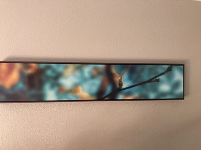 Abstract Leaves Wall Art - Long Horizontal Picture, Earth Tones with Teal
