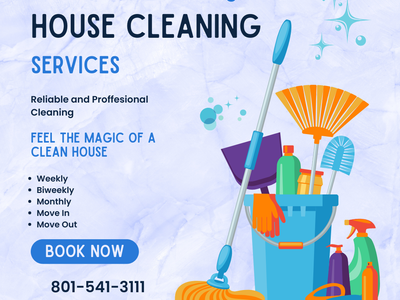 Alice's House Cleaning