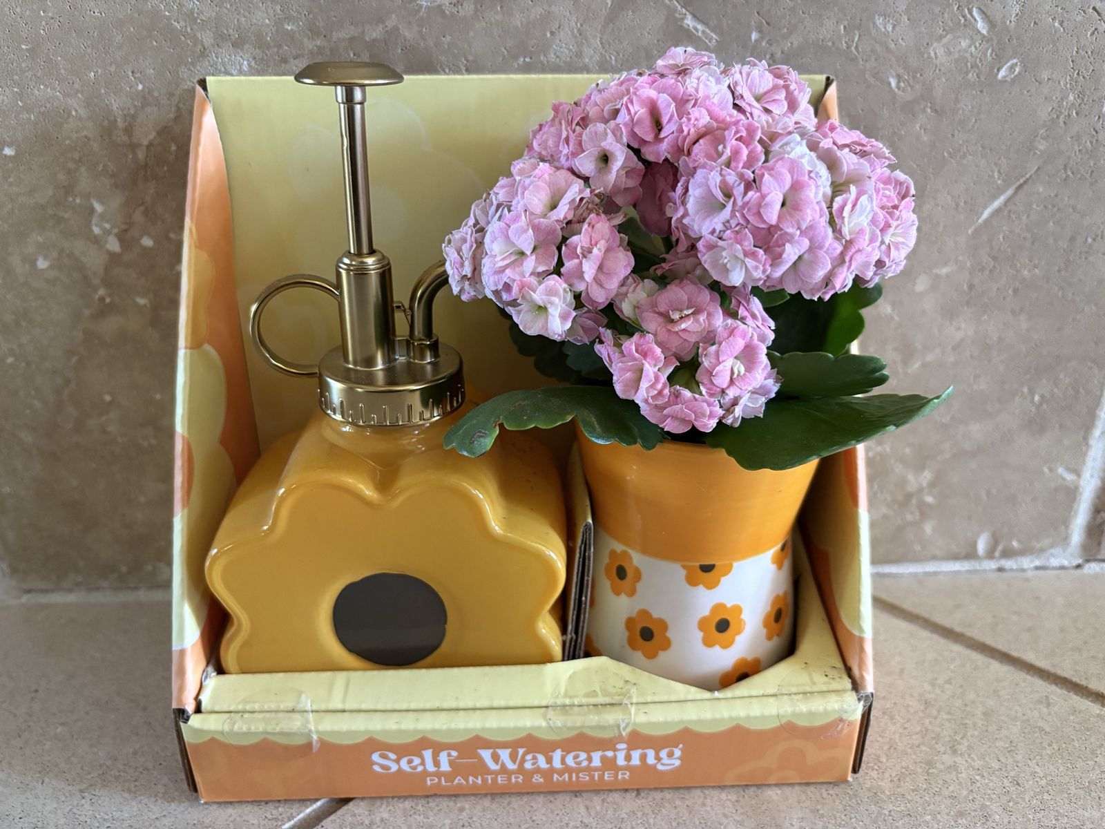 Self Watering Planter & Mister w/ Plant in box