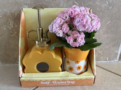 Self Watering Planter & Mister w/ Plant in box