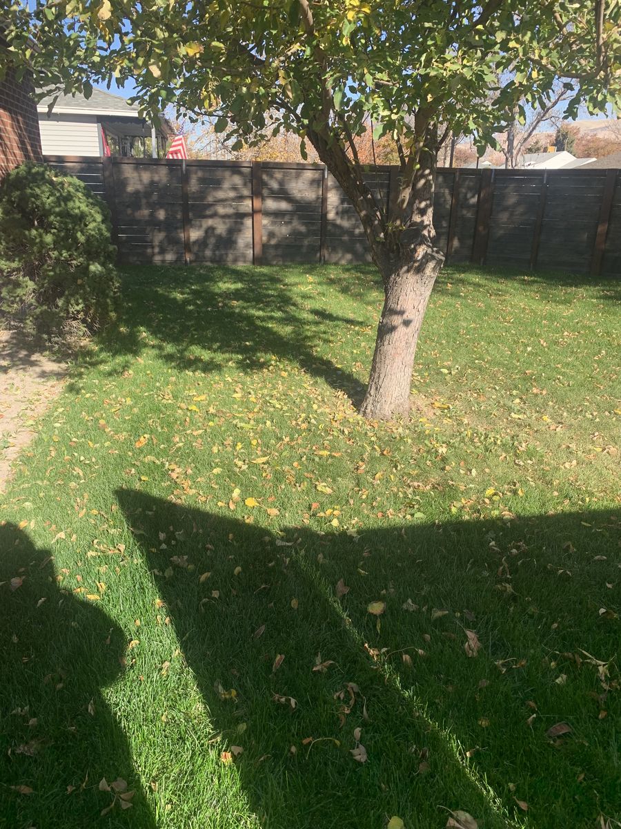 William’s Landscaping