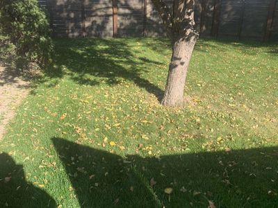 William’s Landscaping